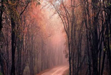 伟德体育：我国将建100个以上可信数据空间.