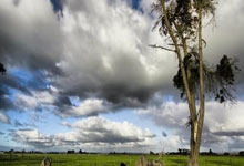 伟德体育:埃及對決摩洛哥,奧運男足銅獎爭奪戰 阿什拉夫與埃爾內尼領銜出戰.